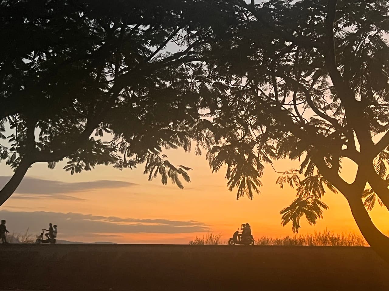 Organic certification